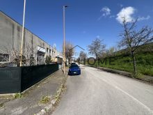 IMG_0239