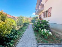 esterni (7)