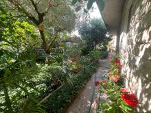 corte esterna (11)
