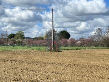 terreno (3)