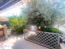 corte di proprietà