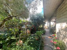 corte esterna (12)