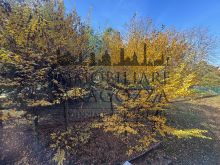 GIARDINO CONDOMINIALE