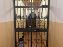 INGRESSO PALAZZO