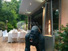 1fcc49ac-0cc7-4ff7-a208-7ecea9742ab6