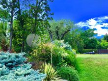 e4f4c3da-6a8e-4864-a61f-426d8ff36b88