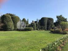 7ba4aea9-3af4-46a5-9764-a7be78d5eaf2