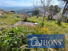 2024_10_G1728991408341825