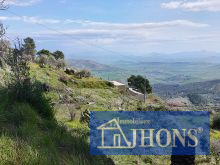 2024_10_G1728991410401486