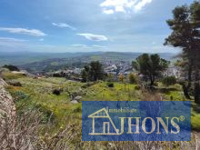 2024_10_G1728991413192331