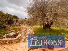 WhatsApp Image 2026-01-09 at 10 51 55 (1)