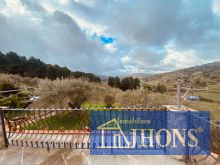 WhatsApp Image 2026-01-09 at 10 51 55 (10)