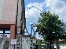 Immagine WhatsApp 2025-05-15 ore 11 38 38_c7b05197